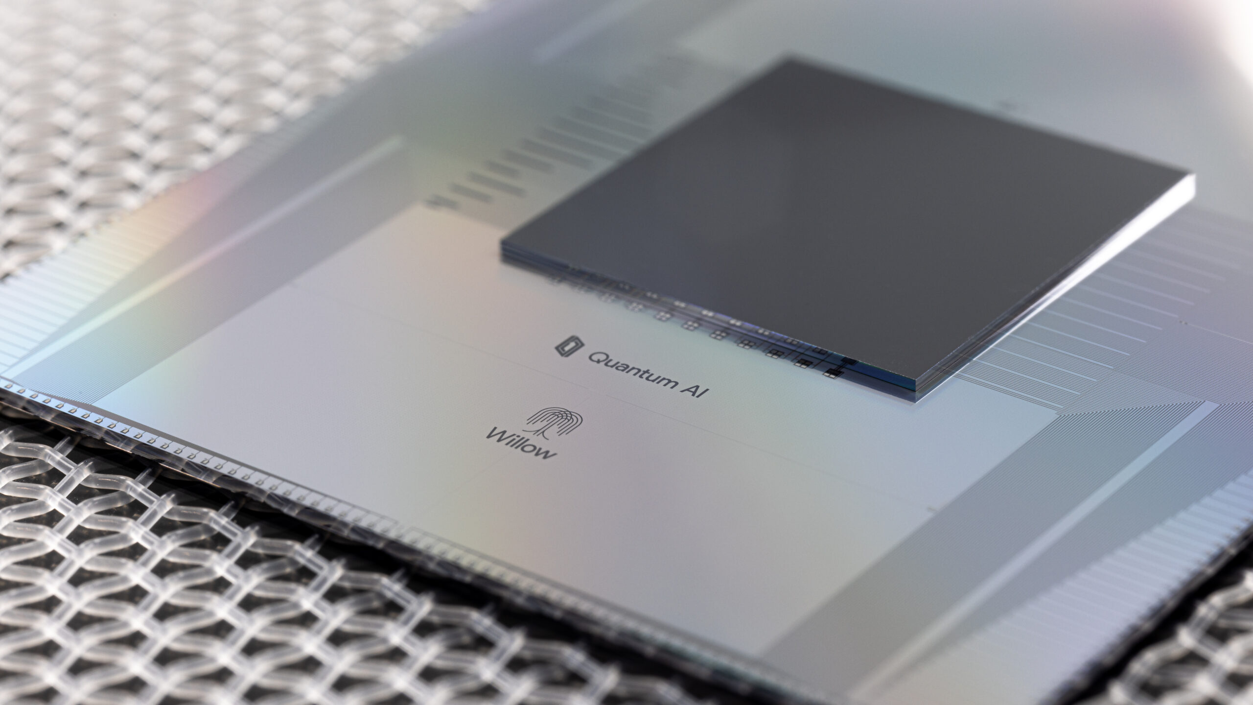 The Desk — Edition 74